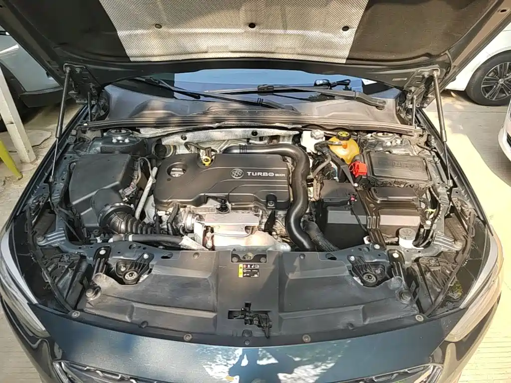 Buick Regal — миниатюра 20