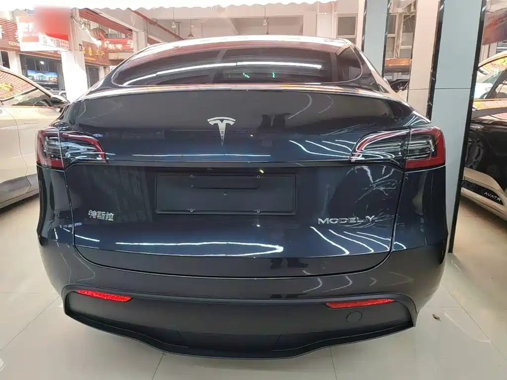 Tesla Model Y — миниатюра 6