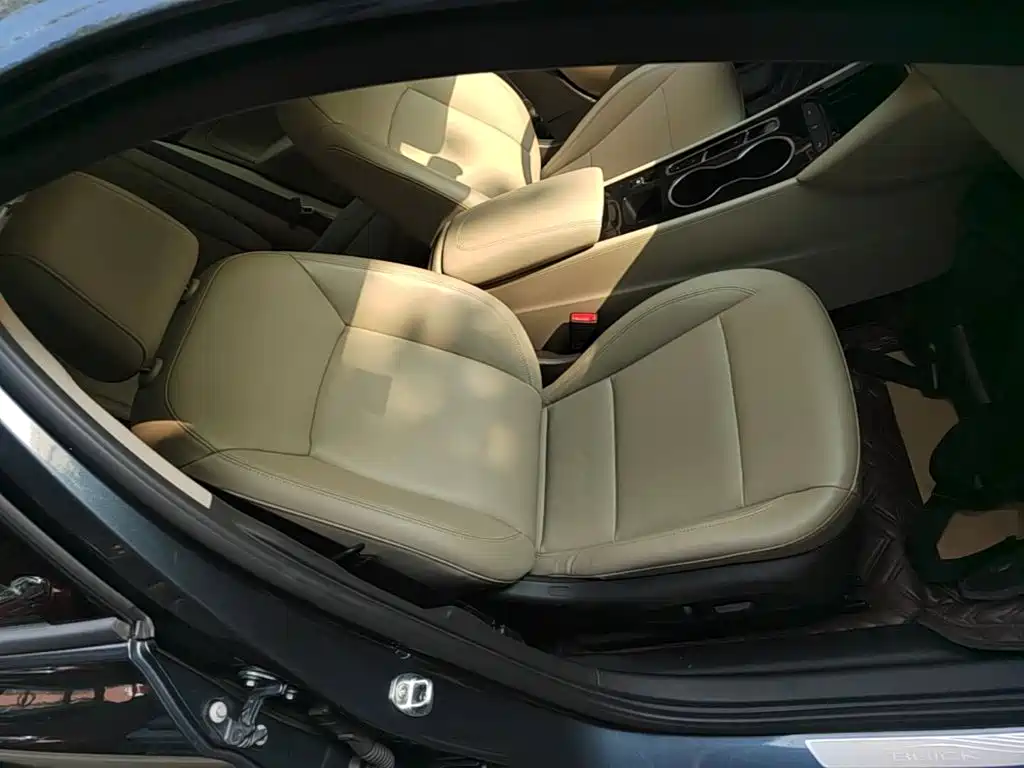 Buick Regal — миниатюра 25
