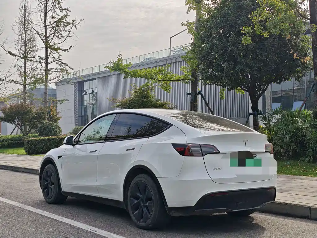 Tesla Model Y — миниатюра 10