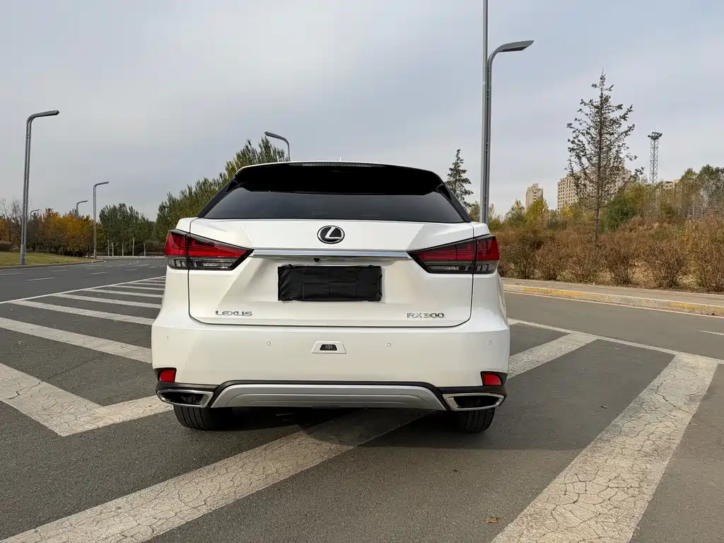 Lexus RX — миниатюра 5