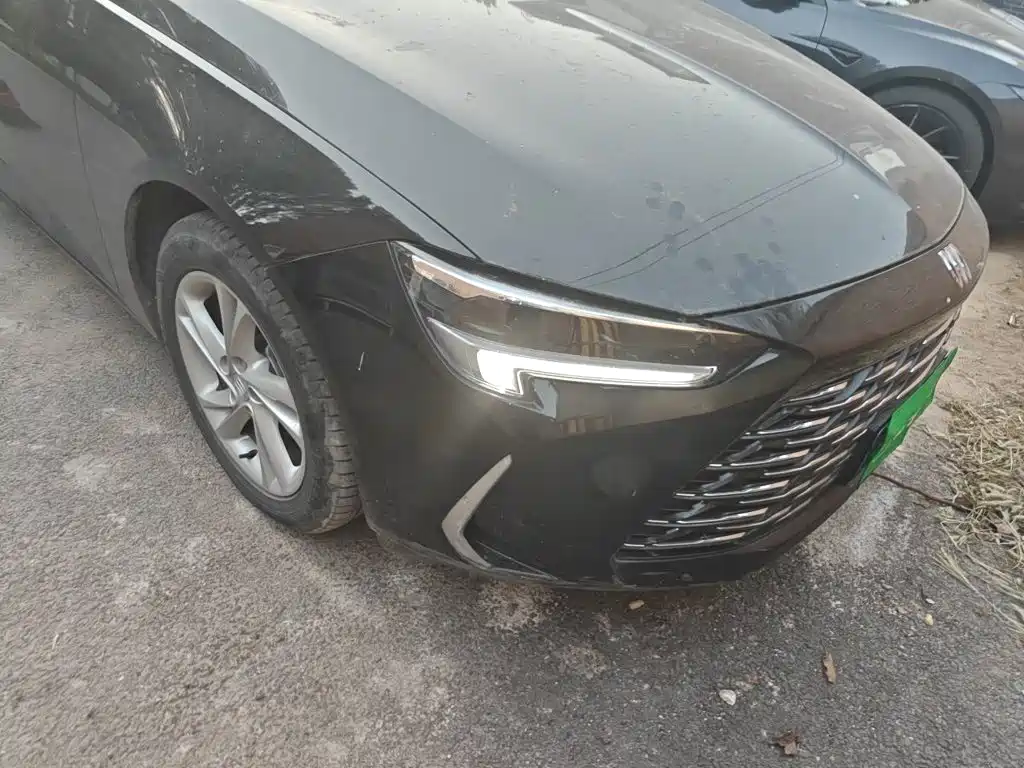 Buick Regal — миниатюра 7
