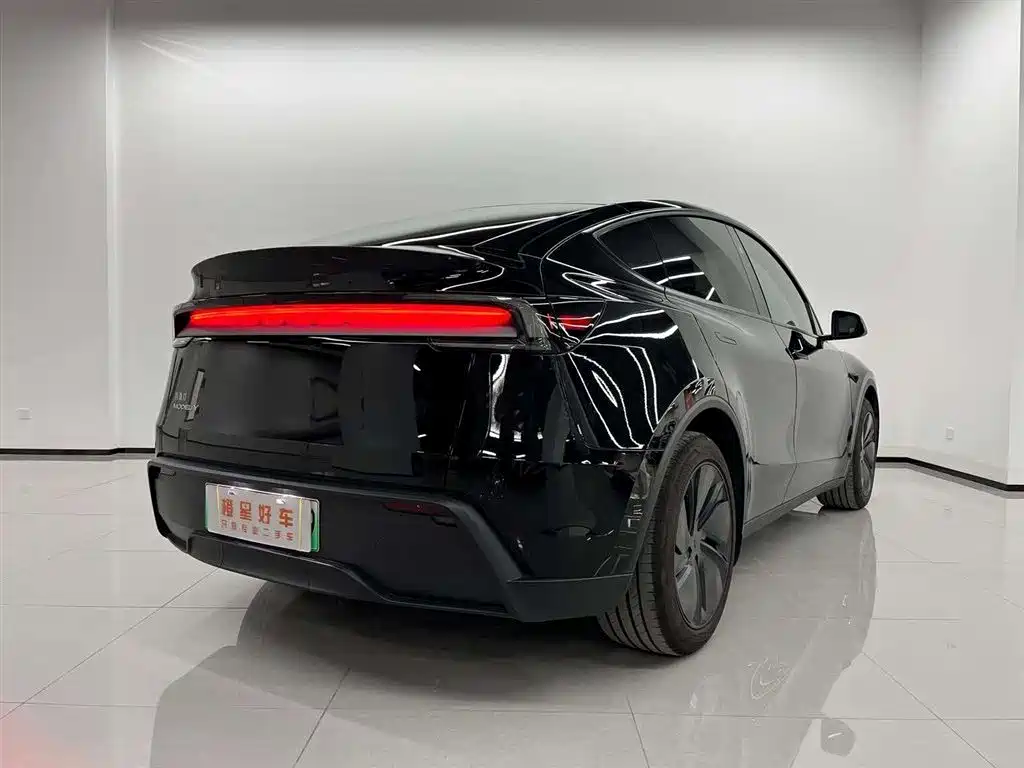 Tesla Model Y — миниатюра 4