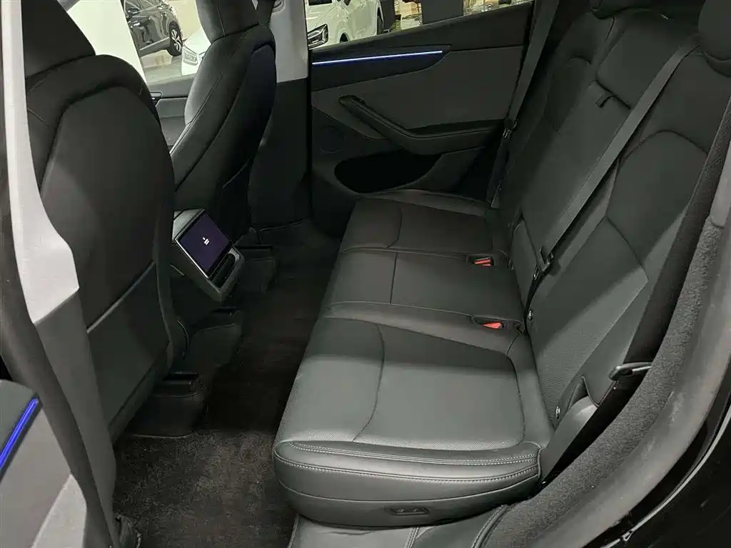 Tesla Model Y — миниатюра 12