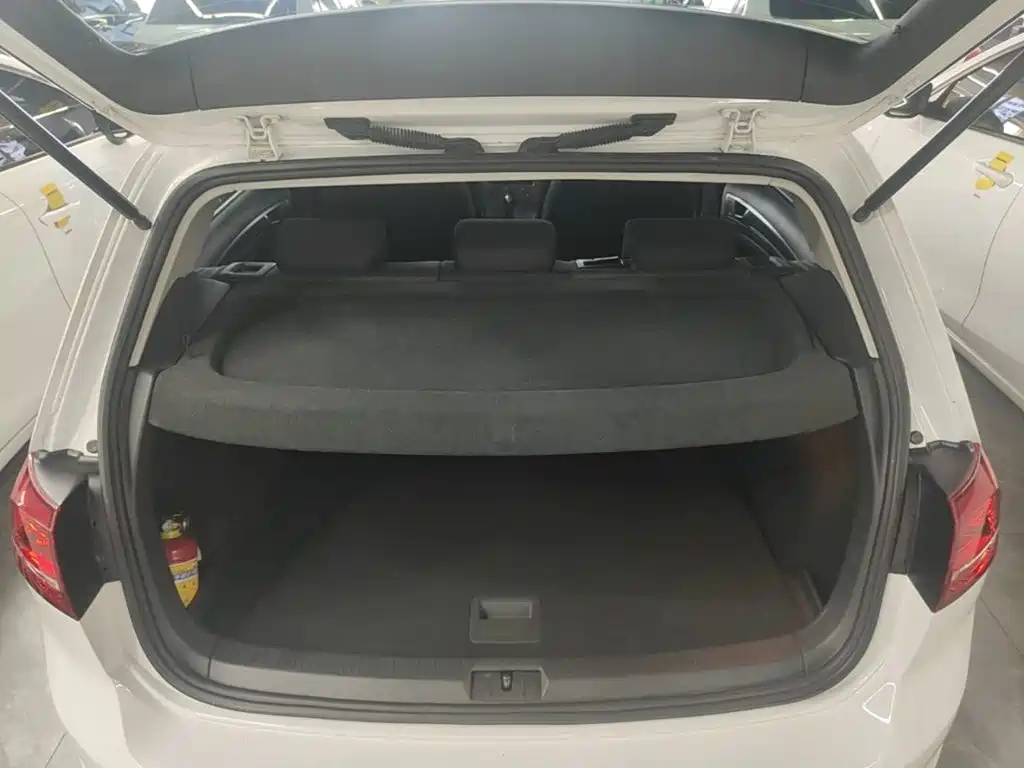 Volkswagen Golf — миниатюра 19