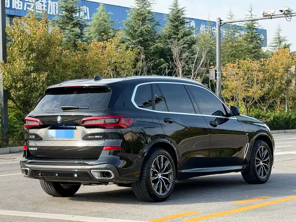 BMW X5 — миниатюра 9