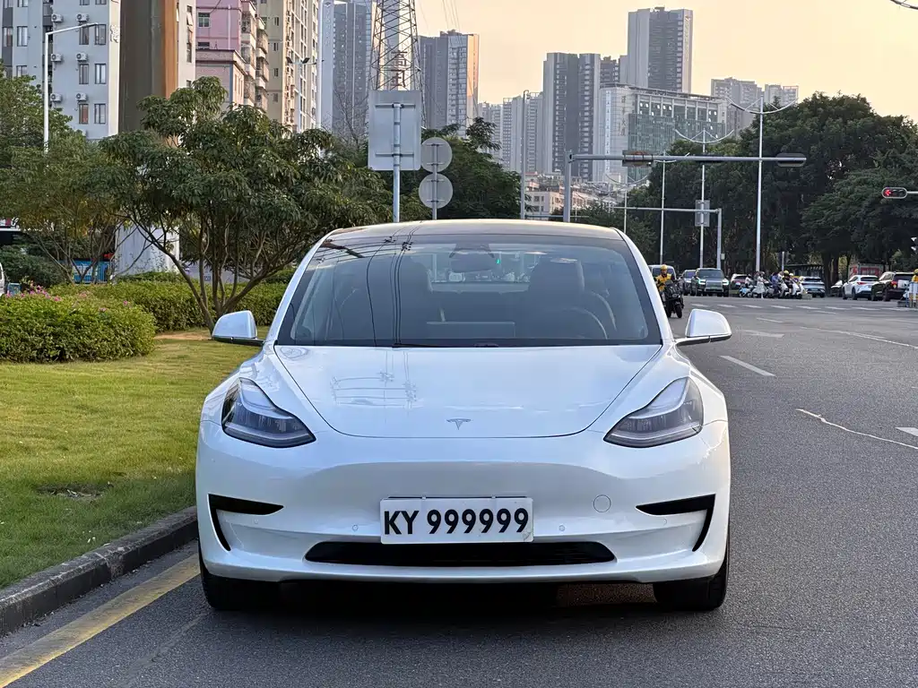 Tesla Model 3 — миниатюра 2