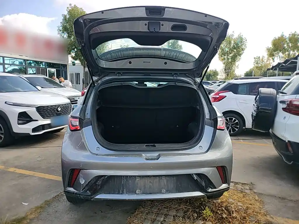 BYD Dolphin — миниатюра 19