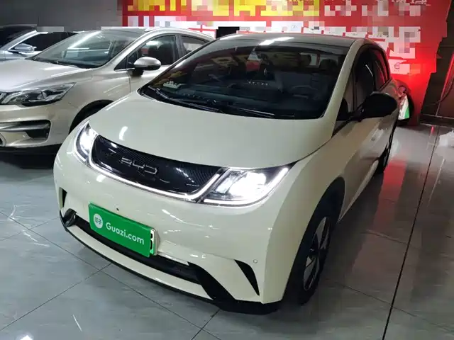 BYD DOLPHIN 2023