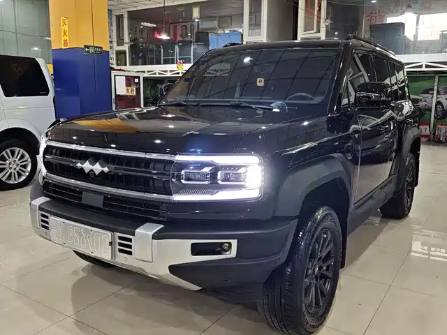 fang-cheng-bao leopard-5