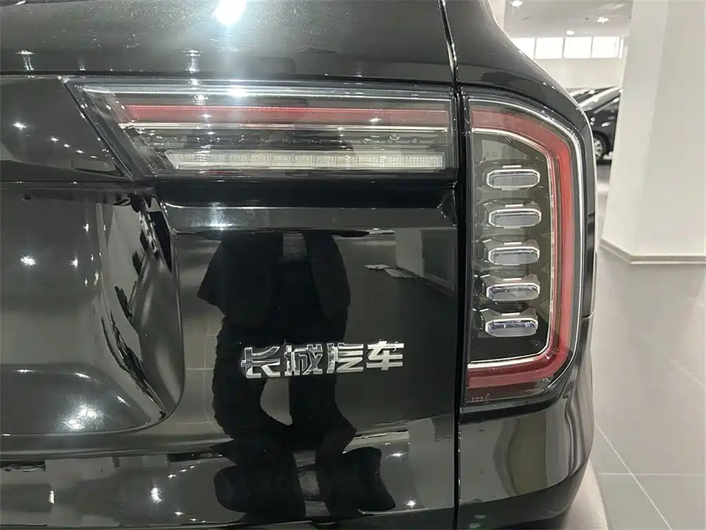 Haval Big Dog — миниатюра 13
