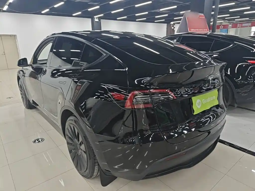 Tesla Model Y — миниатюра 5