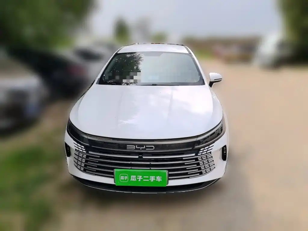BYD Destroyer 05 — миниатюра 2