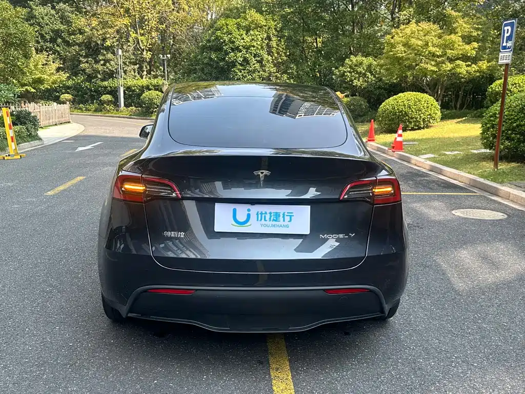 Tesla Model Y — миниатюра 6