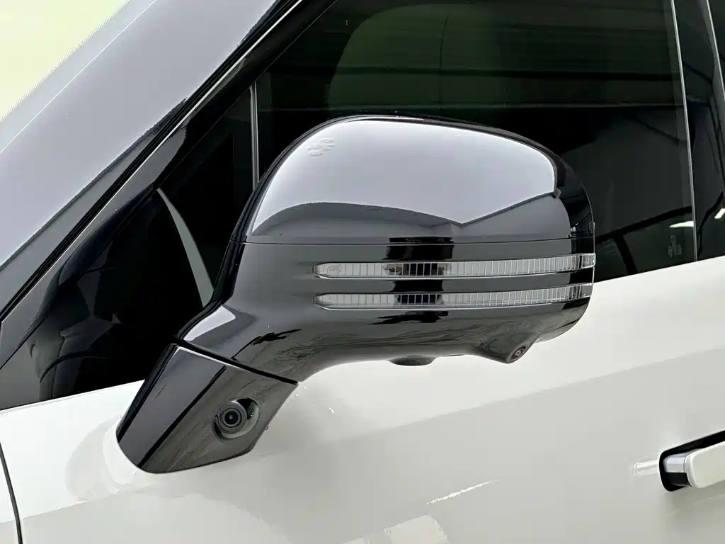 Denza Denza N8L — миниатюра 27