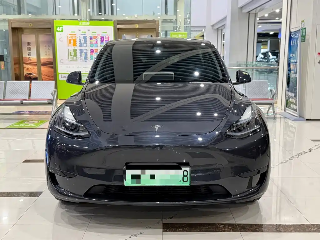 Tesla Model Y — миниатюра 2