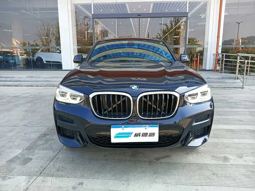 BMW X4 — миниатюра 2