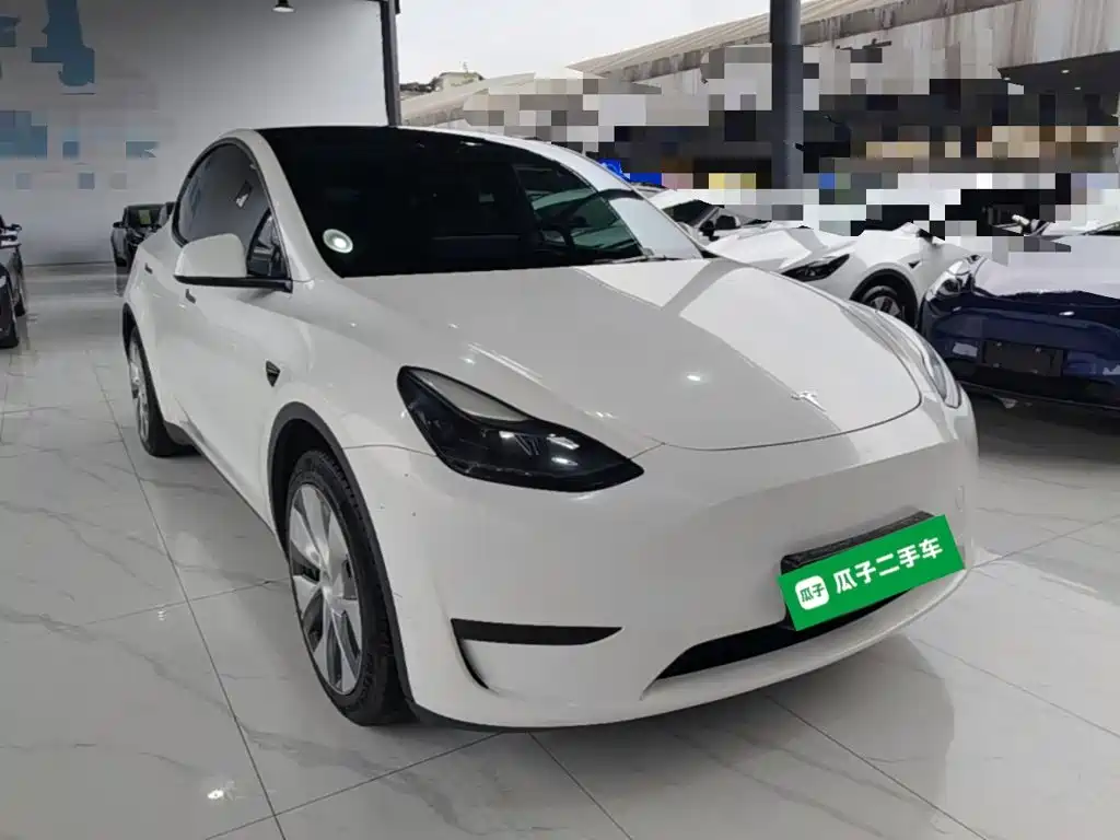 Tesla Model Y — миниатюра 4
