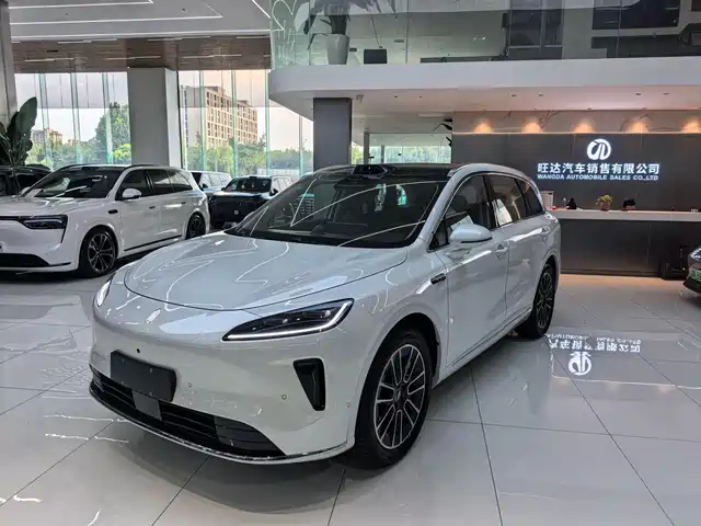 2025 Singulato