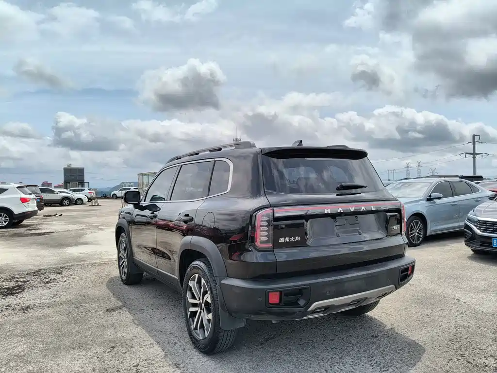 Haval Dargo 1.5T DCT Border Collie Edition, фото 5