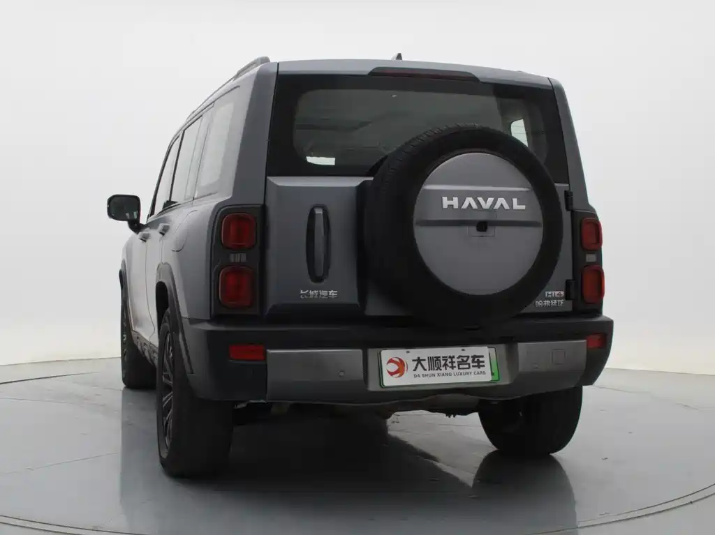 HAVAL RAPTORS NEW ENERGY