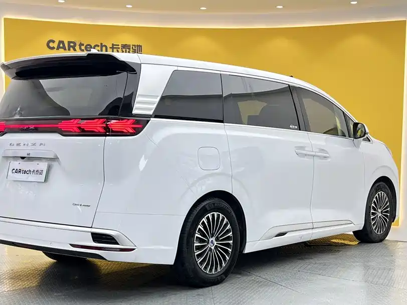 Denza Denza D9 — миниатюра 4