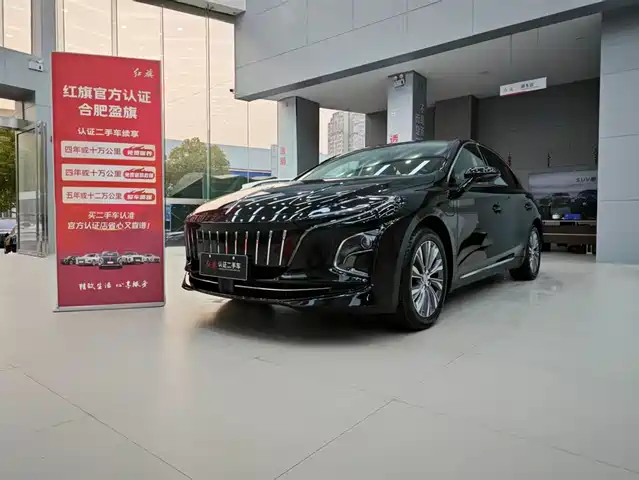 Hongqi HONGQI E QM5 2024