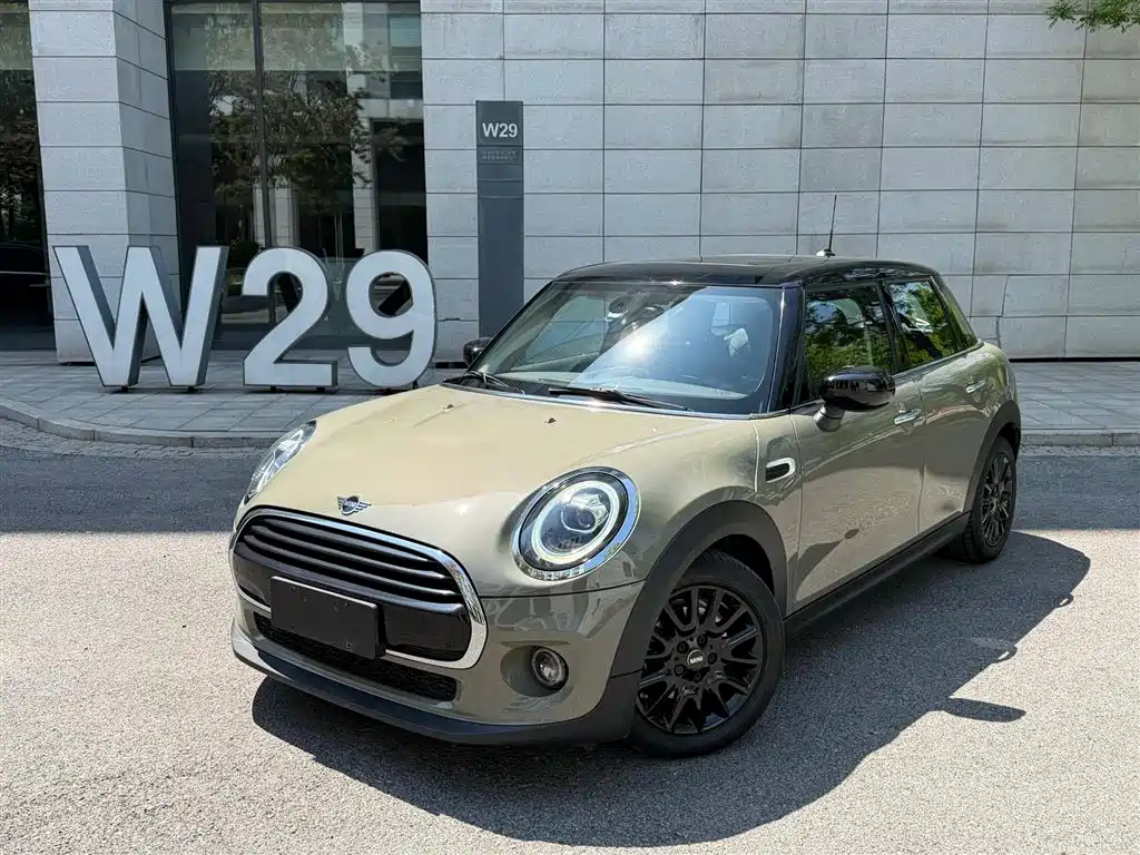 Mini Mini 2020