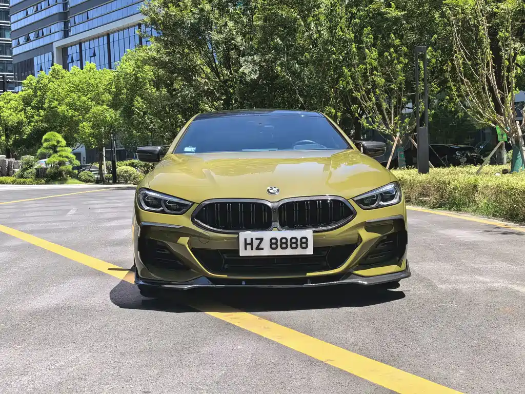 BMW 8 Series — миниатюра 2