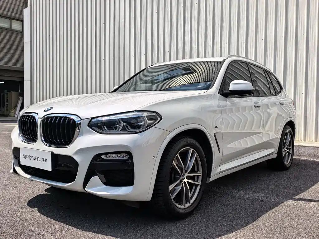 BMW X3 — миниатюра 2