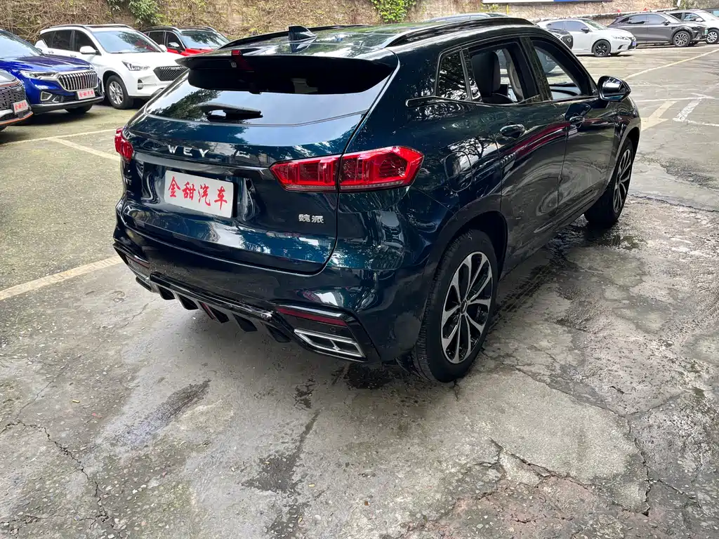 WEI PAI WEI BRAND VV7