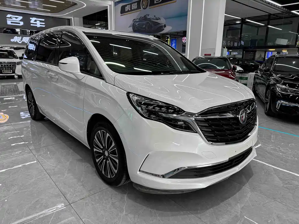 Buick GL8 — миниатюра 3