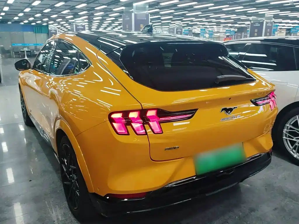 Ford Mustang Mach-E — миниатюра 5