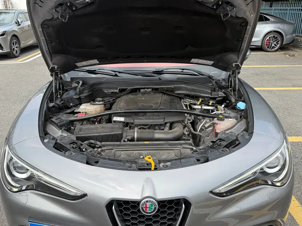 Alfa Romeo Stelvio — миниатюра 16