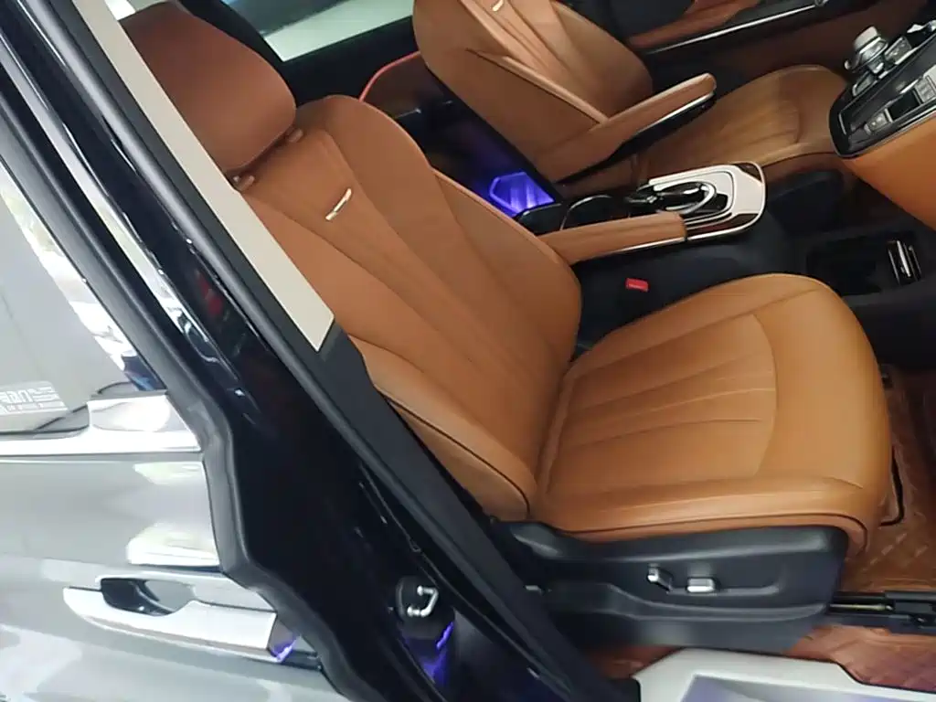 Hongqi Hongqi HQ9 — миниатюра 25