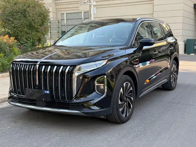 2024 Hongqi HS7