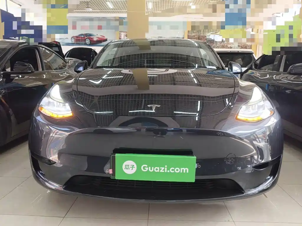 Tesla Model Y — миниатюра 3