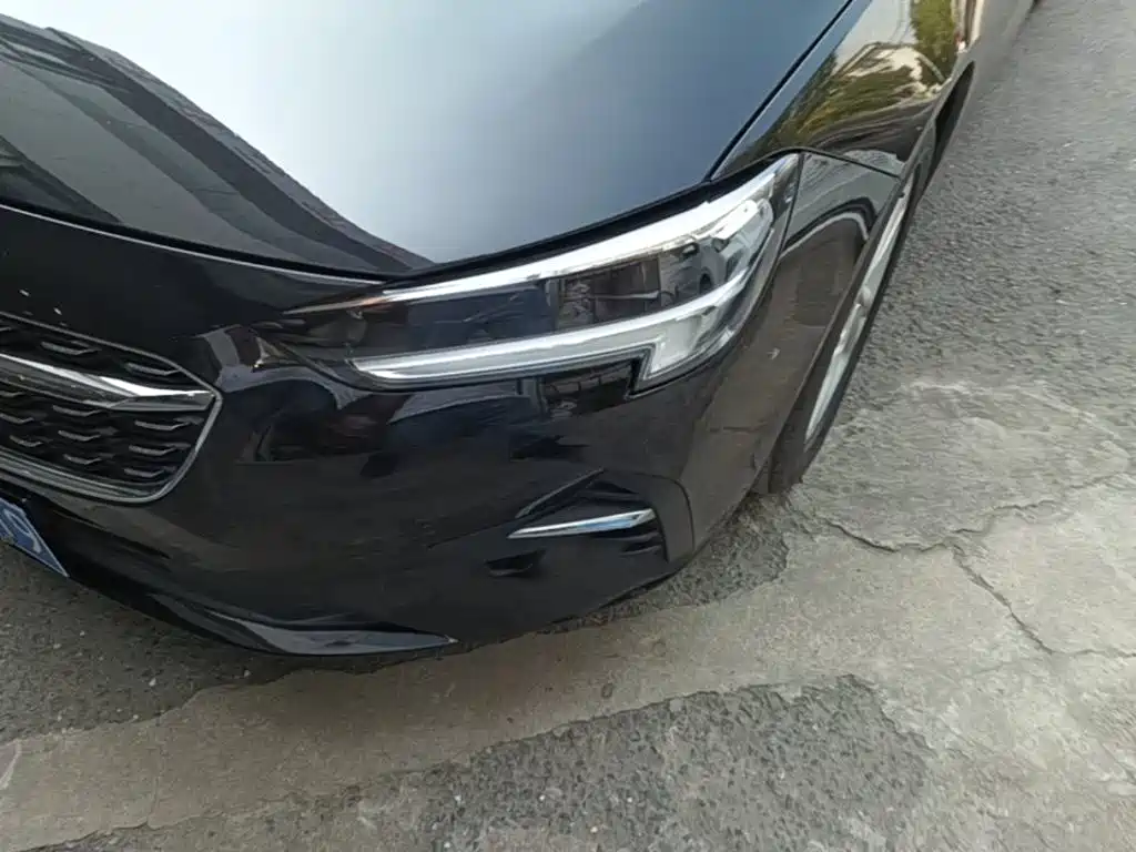 Buick Regal — миниатюра 24