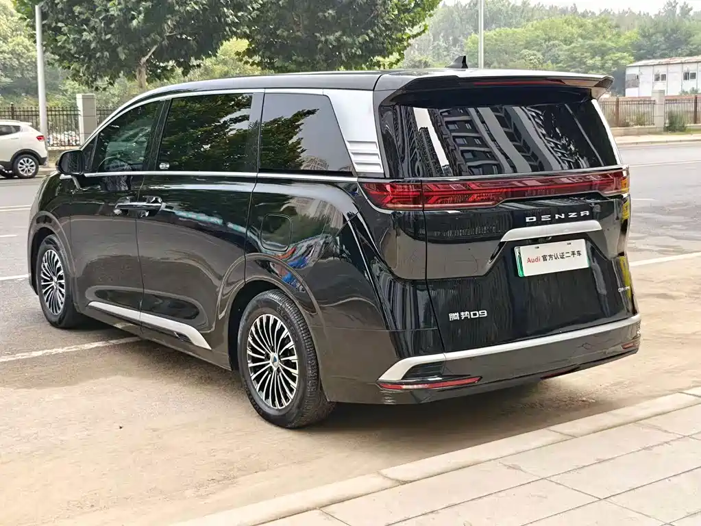 Denza Denza D9 — миниатюра 7