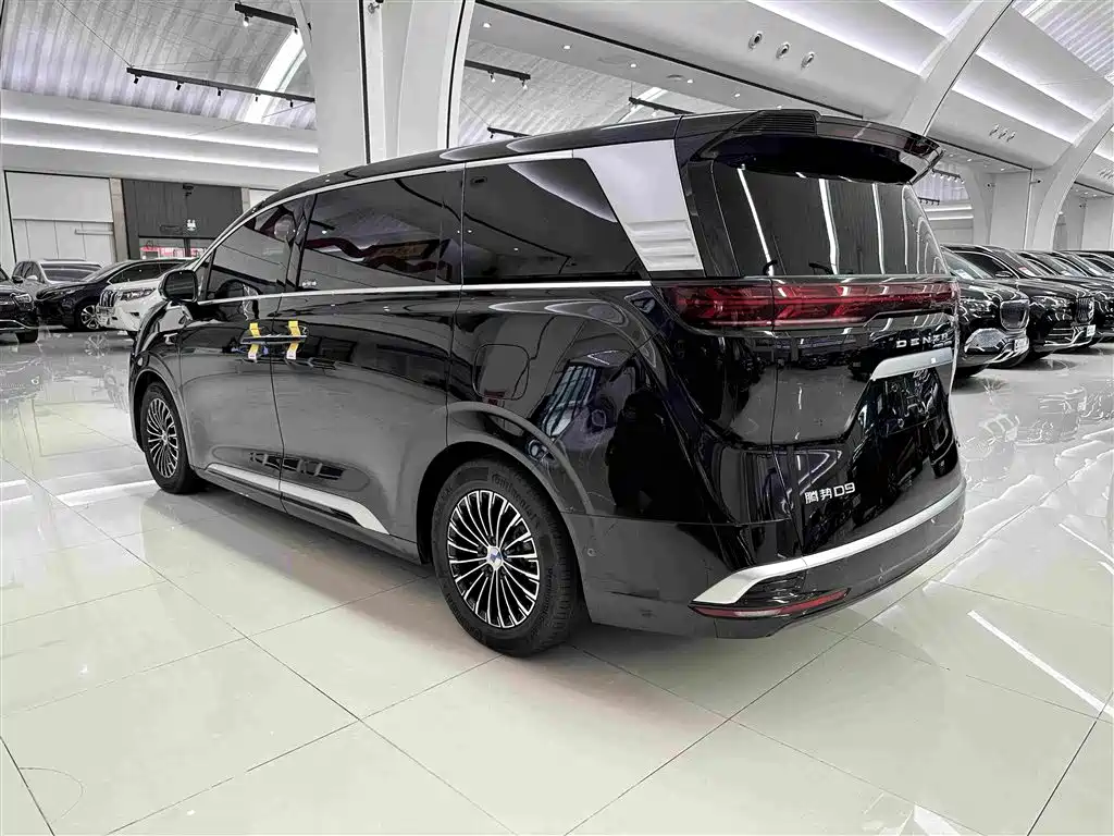 Denza Denza D9 — миниатюра 8