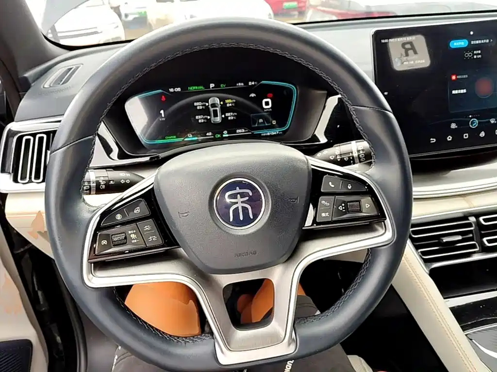 BYD PLUS New Energy — миниатюра 11