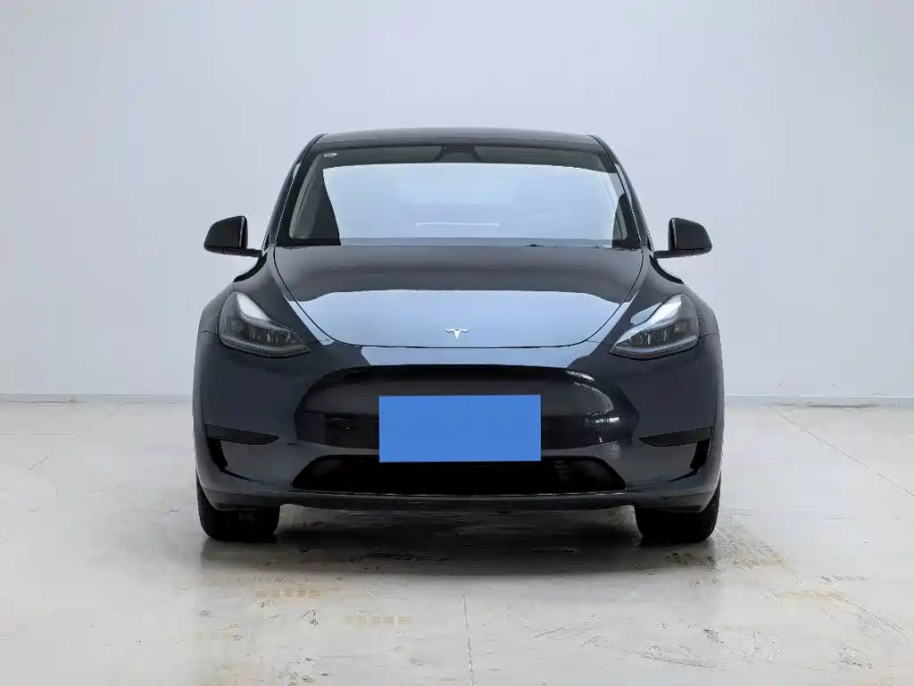 Tesla Model Y — миниатюра 2