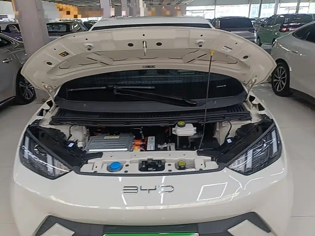 BYD Seagull — миниатюра 20
