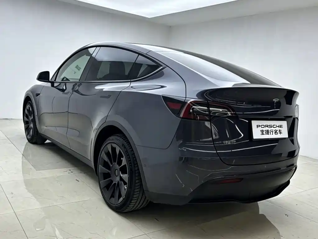 Tesla Model Y — миниатюра 5