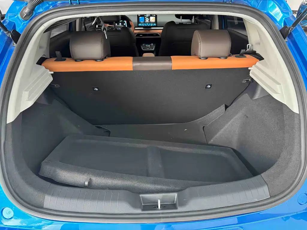 BYD e2 — миниатюра 4