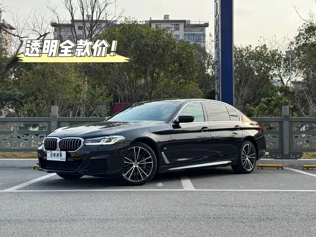BMW 5 SERIES