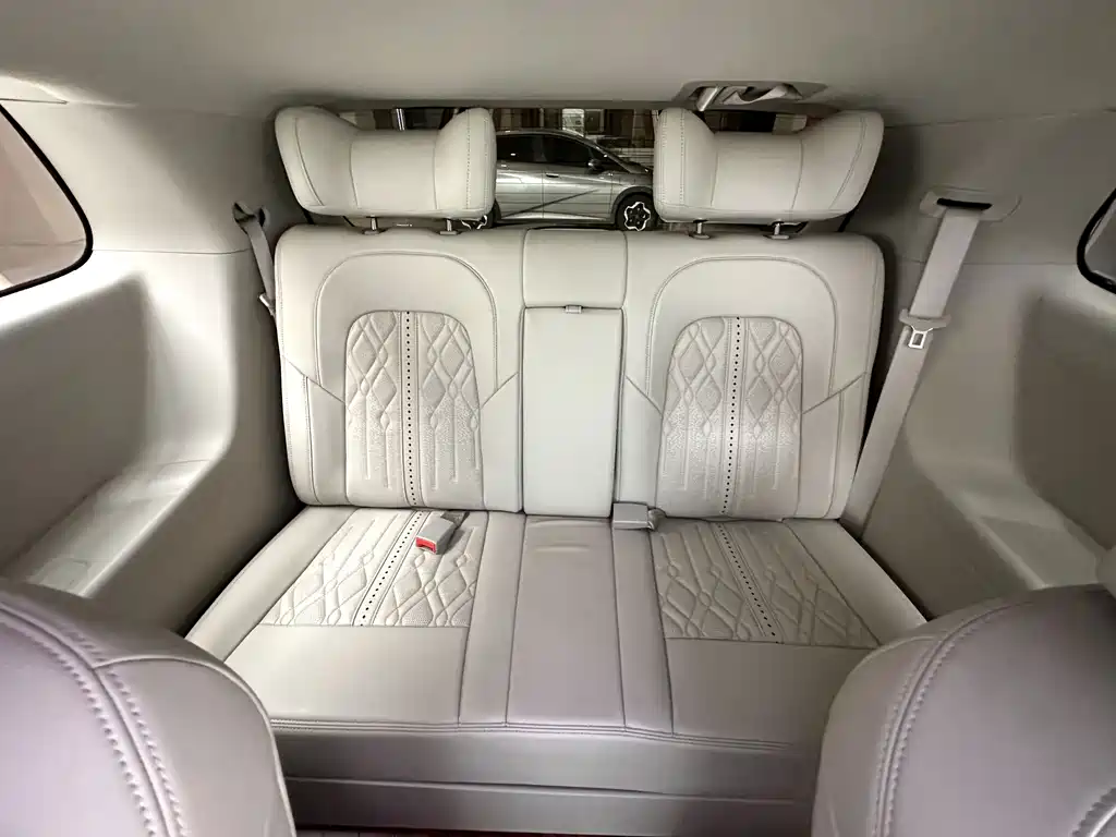 Buick GL8 — миниатюра 13