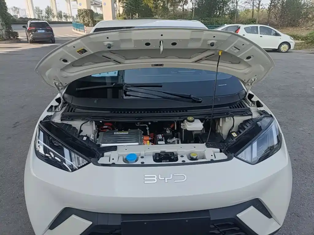 BYD Seagull — миниатюра 20