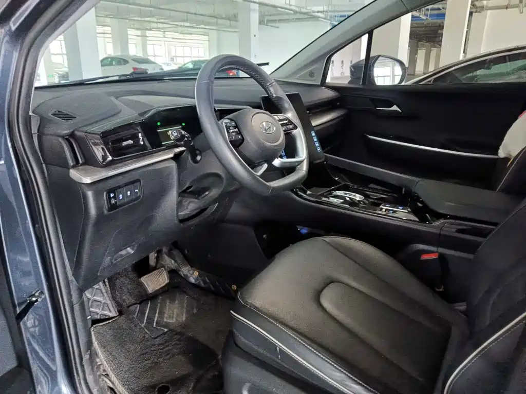 Hyundai Custo — миниатюра 7