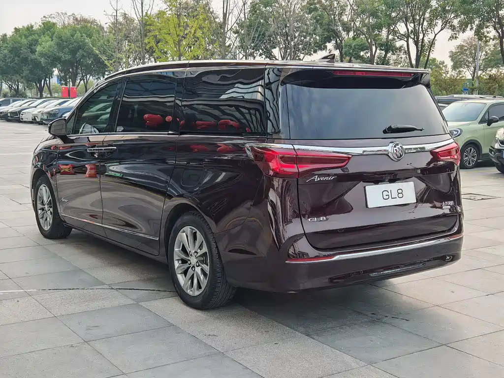 Buick GL8 — миниатюра 14